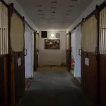 Stekruv Mlyn Affittacamere Františkovy Lázně