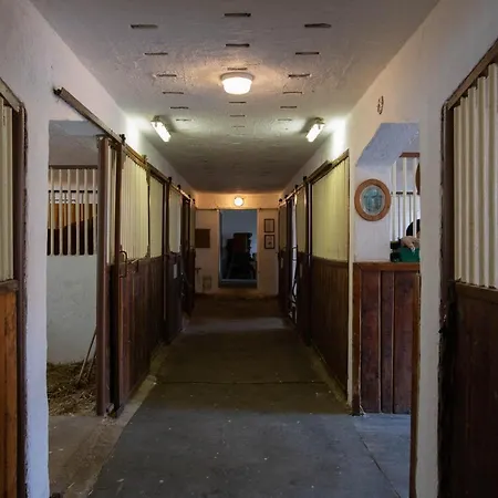 Stekruv Mlyn בית הארחה Františkovy Lázně