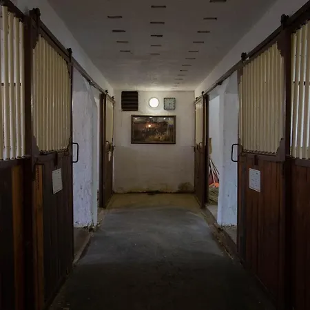 Stekruv Mlyn Maison d'hôtes Františkovy Lázně